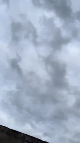 #kingmedan135 #fyp #fyppppppppppppppppppppppp 