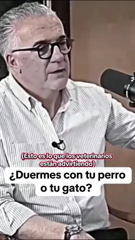 Esto es lo que los veterinarios están advirtiendo #llysine #veterinarios #texasroadhouse #wellnesstips #healingprocess 
