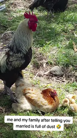 #king vibes  #fypシ゚vibes 