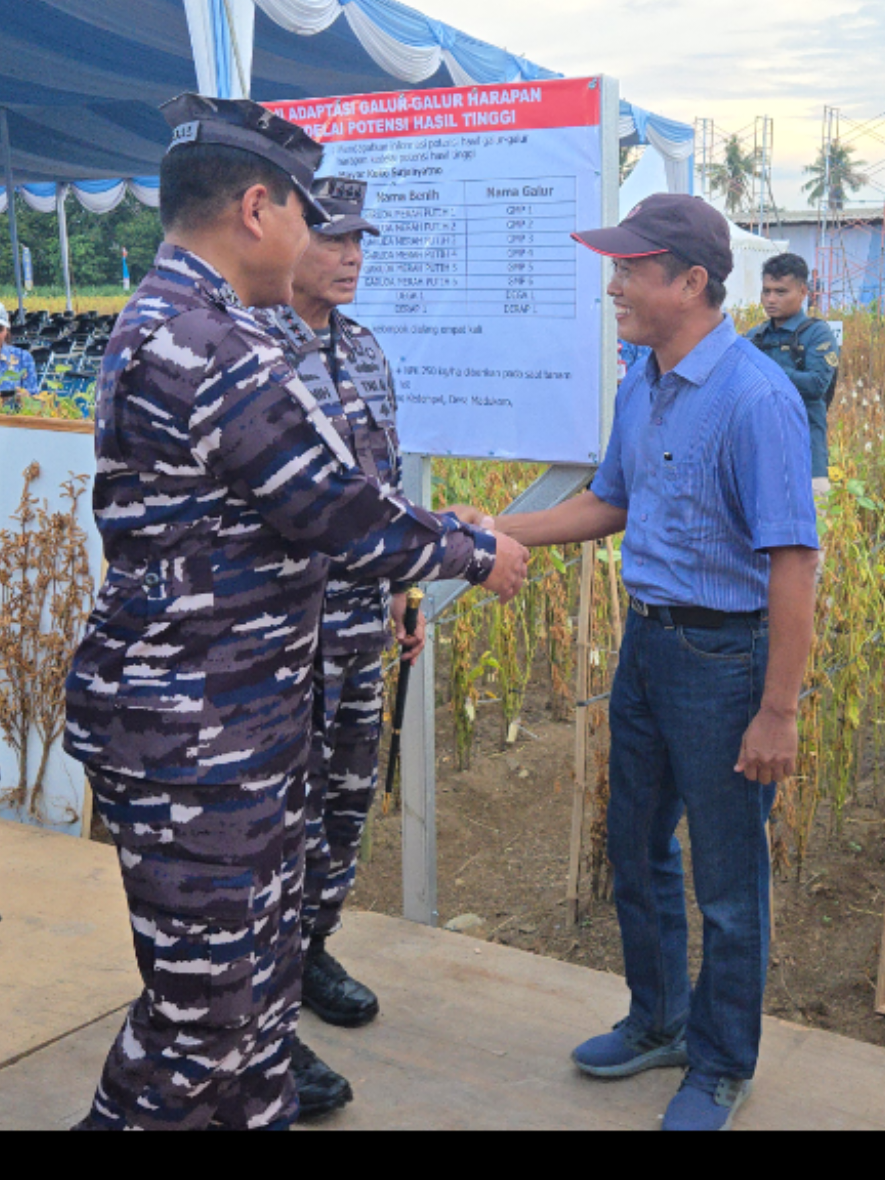 KEDELAI GARUDA MERAH PUTIH REKOR PRODUKTIVITAS 5,3 TON/HA TELAH MENGALAHKAN PRODUKTIVITAS  KEDELAI AMERIKA #kedelaigarudamerahputih.