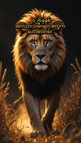 ၂၀၂၆ခုနှစ် အင်္ဂါသားသမီးများအတွက် ဟောစာတမ်း #japan #astrology #astrologer #fyp #fypviraltiktok🖤シ゚☆♡ 