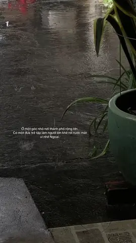 Ngoại khoẻ không…#xuhuong 