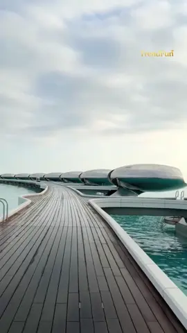 اغرب وأجمل فندق بالعالم 🤯