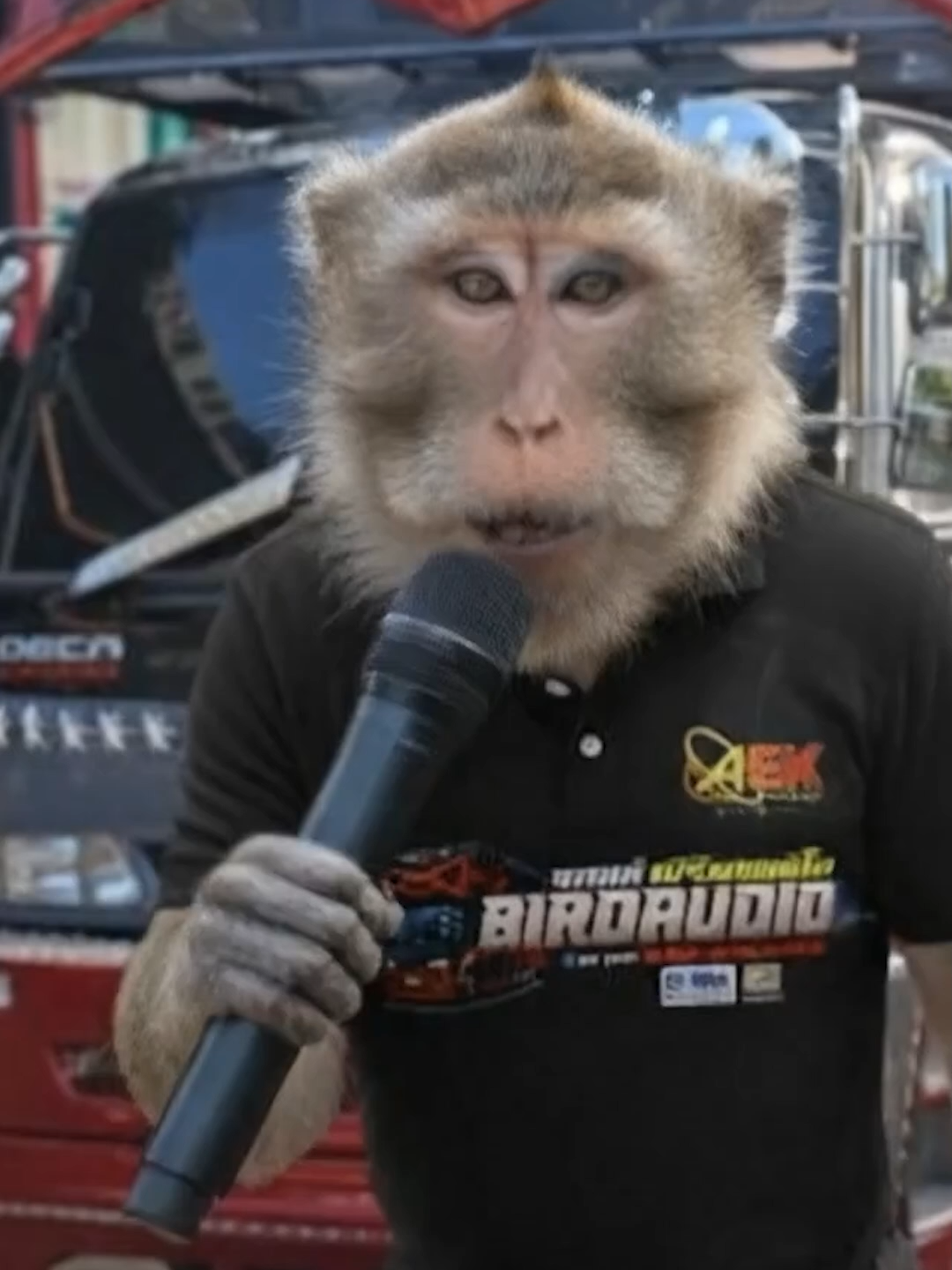 ที่เจ้าร้องมา ข่อยว่ามีเหตุผล#เบิร์ดออดิโอหน่วยที่2 #ช้าง3เฟต🔥 #A25K #เอกซาวด์ชัยภูมิ #ช_ช้าง_มิวสิคชัยภูมิ #AI