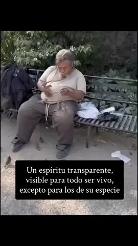 A verdadeira humildade é sentida por todos os seres vivos. 🌿💫 #Humildade #Respeito #Consciência #Natureza #PazInterior #Reflexão #Gratidão #FoqueNoBem #Viral #ParaVocê #FYP #TikTokBrasil #Trends #VídeoDoDia
