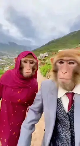 المدام تشتي ذهب 😂#قردوني #قرود 