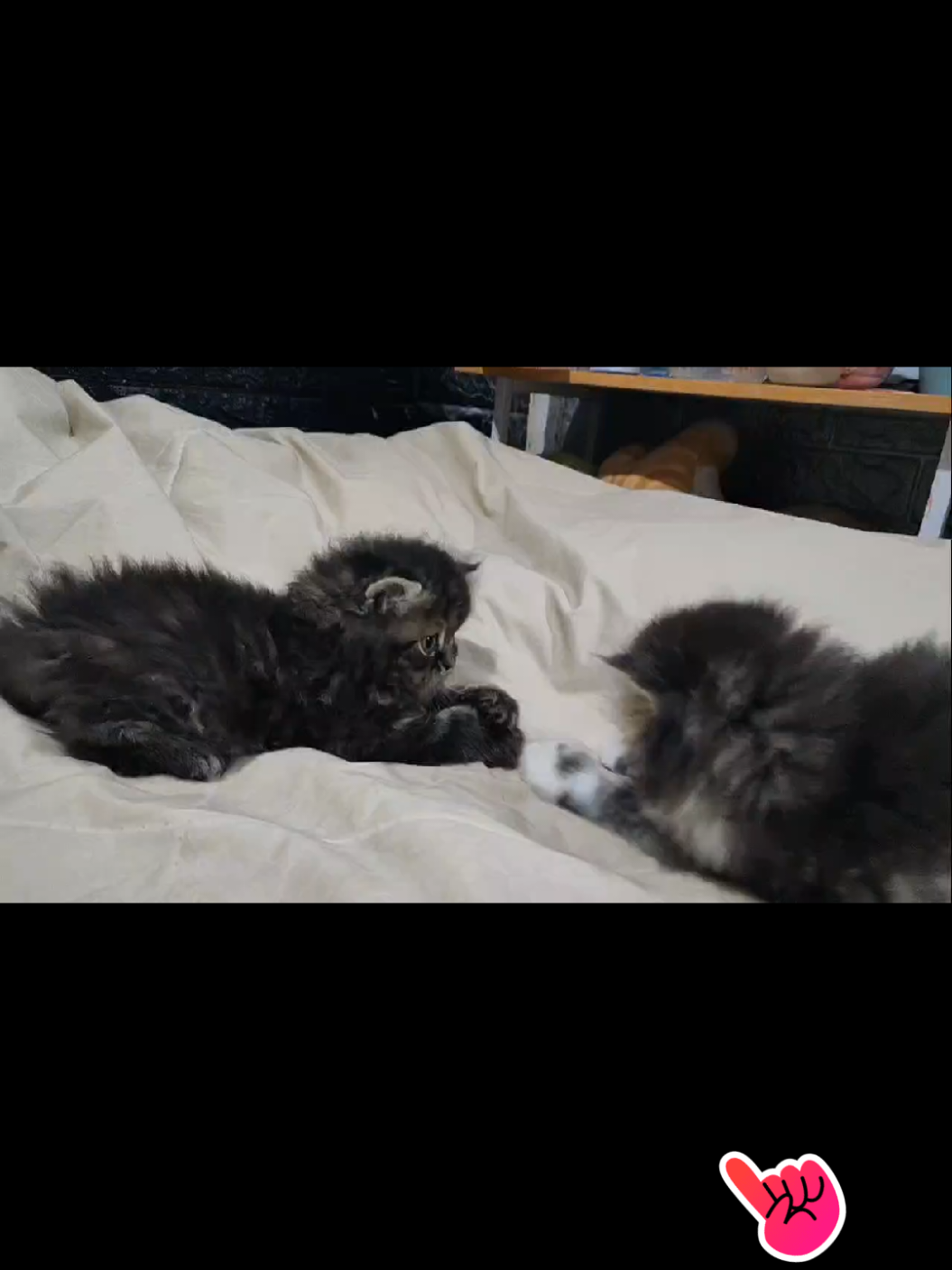 ถูกชะตาน้องบ้านเขียวมานะคะ🐻🤗