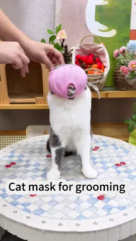 😼👁️ **Grooming made *stress-free* (for you *and* your cat)!** ✨ Meet the **Transparent Cat Eye Mask**—*50,000+ pet parents swear by it*! 🏆 See-through design keeps your kitty calm *and* your hands safe during nail trims, ear cleanings, or *sassy* vet visits. 🛁💅  👉 **SWIPE** to see why it’s a game-changer:  ✅ **Crystal-clear vision** = no blindfold panic, just purrs.  ✅ **Breathable cotton + baby-safe Velcro** = comfy, secure, *zero* choking risks.  ✅ **20 years of expertise** = trust the pros (and spoil your cat!).  💬 Comment “PEACE OF MIND” to upgrade your grooming toolkit!  🛒 **50K+ in stock** + **custom orders available**—tap the link in bio! 🔗  #CatGrooming #TransparentMask #StressFreePets #PetSafety #CatLovers    —  **P.S.** Even *dramatic* cats might tolerate this… *maybe*. 😼💤  —