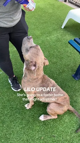 SO HAPPY FOR LILO! She deserves all the best! 