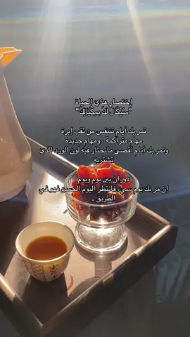 #اكسبلورexplore #catsoftiktok #capcut #مالي_خلق_احط_هاشتاقات #مالي_خلق_احط_هاشتاقات 