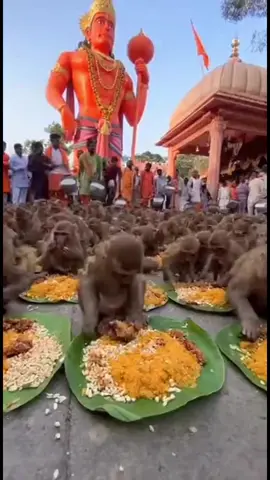 ❤️🙏🏼🙏🏼❤️🙏🏼❤️🙏🏼❤️❤️🙏🏼🙏🏼🙏🏼❤️🙏🏼❤️🙏🏼❤️🙏🏼❤️🙏🏼🙏🏼❤️🙏🏼❤️🙏🏼🙏🏼🙏🏼🙏🏼🙏🏼