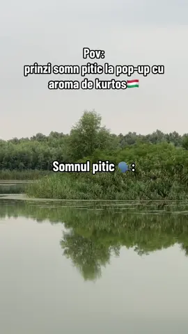 Sa nu dati la pop-up dasta #fy #viral #kurtos #unguri #pescuit 