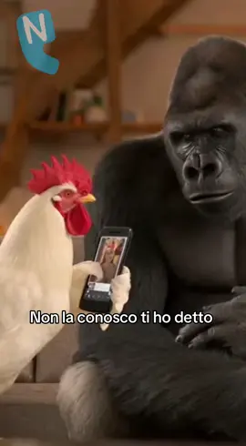 Teresa 🐓 e Totore 🦍 litigano ancora #amore #napoli 