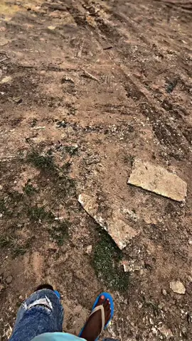 @ditoypco @eddosudahbaik #tuban24jam #fyp#kumbung_gank🚀 #lewatberanda #trnding 