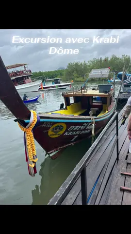 Journée incroyable avec #krabidome  guide francophone merci à eux 🤩 #thailand #krabi #aonang 