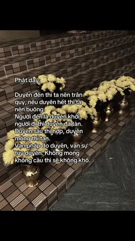 #nammoadidaphat #phatphapnhiemmau #nammobonsuthichcamauniphat #chuakhanhlamdatset 