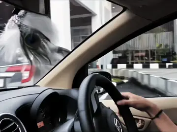 gantengg bgt plsss😩💗🫦 isal nyetir + lagu jawa aduh mass ga nguati😩😵‍💫 #isalovers #affanfaisal #kusumawaraofficial #gwsmlovers👹 #fyp 