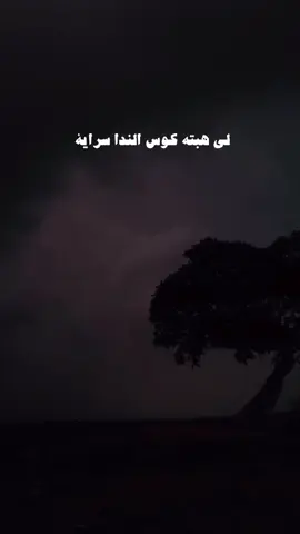 #لي_هبته_كوس_الندا_سراية  #علي_بن_روغه #لايك #شعر 