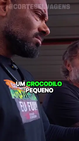 RICHARD E BALESTRIN ENCONTRAM O MAIOR PREDADOR AFRICANO #crocodile #africa #viralvideo #curiosidades #animals #curiosidades #balestrin #juliobalestrin