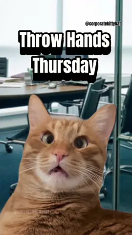 Who are you fighting for Throw Hands Thursday?  #Workhumor #worklife #officelife #coworkers #corporatelife  