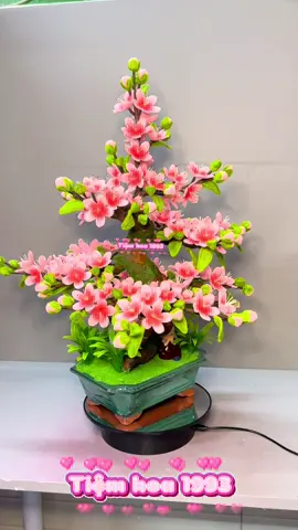 Có mai thì phải có đào.Có thêm chậu nữa đủ đầy cả năm 🤭.Hoa đào xinh lắm khách ơi .#hoadaokemnhung #xuhuong #handmade #hoadao #hoamaikemnhung