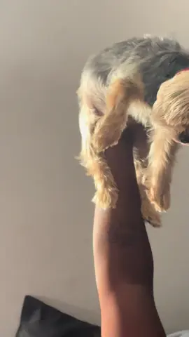 This is what I came out of the bathroom to. Mind you we all still have crust in our eyes @Dr. RC, AICP, PMP 