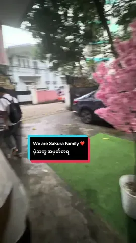 ရုံးအဆင်း ပံ့သကူ ဦးသူယူ 😍  🏫 ရုံးနှင့်ကျောင်းလိပ်စာ    📍အမှတ် (၄၉/စီ)၊ မိုးစန္ဒာလမ်း၊ (၁) ရပ်ကွက်၊ ကမာရွတ်မြို့နယ်၊ ရန်ကုန်-အင်းစိန်လမ်းမပေါ်ရှိ လှည်းတန်း မှတ်တိုင်အနီး။  📞 ဆက်သွယ်ရန် ဖုန်း 09-444 7050 24 09-444 7050 26 သို့လည်း ရုံးချိန်အတွင်း ဆက်သွယ်မေးမြန်းနိုင်ပါတယ်ခင်ဗျာ 🙏❤️ We are Sakura Family ❤️ #SakuraFamily  #Nattest #JLPT #Maja #fyp      
