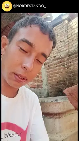 #fypage #fyppppppppppppppppppppppp #humor #nordeste #comedia 