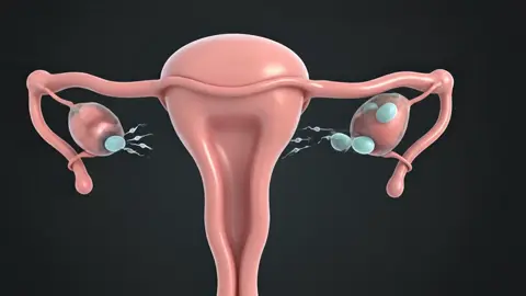 Twins baby #anatomy #foryou #viral #healthylifestyle #human 