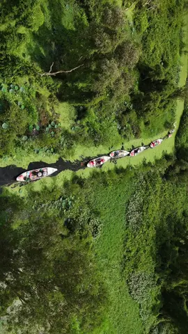 Rừng tràm Trà Sư đúng đỉnh máaa hú thiệt mà, lỡ mê An Giang, mê Miền Tây quá rồi. #travel #mientay #angiang #rungtramtrasu #tuynhadi 