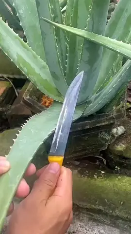 #doctorstrangeinthemultiverseofmadness #doctorsoftiktok #doctorstrange #documentary 