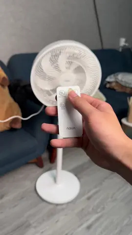 Quạt cây aqua hoạt động cực kì êm không phát ra tiếng ồn,điểu khiển từ xa…#quatcay #quataqua 