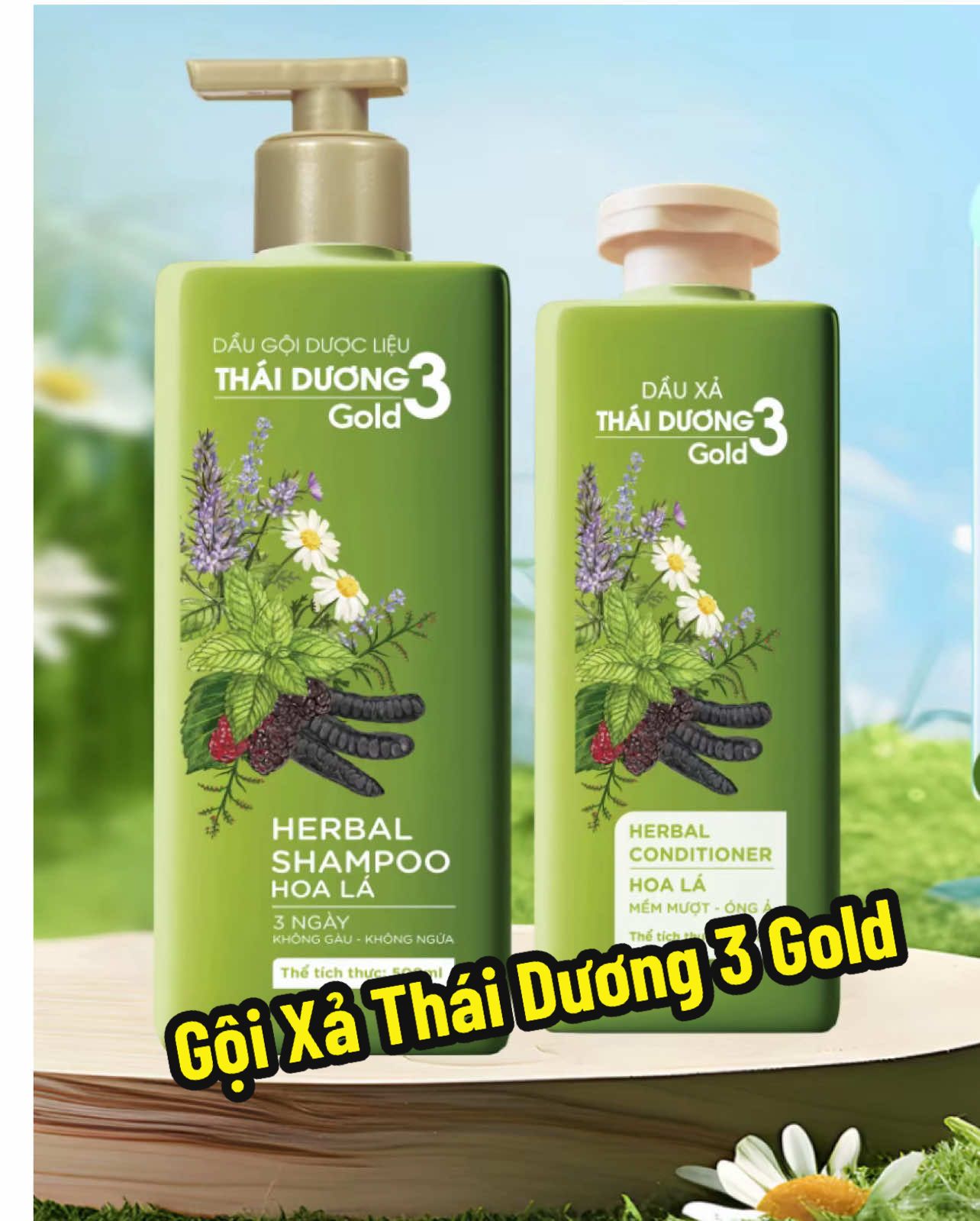 Mình dùng combo Thái Dương 3 Gold hơn tuần nay, tóc sạch lâu, da đầu mát dễ chịu, mùi hoa lá thơm tự nhiên lắm. Gội xong tóc mềm mượt, giảm rụng rõ luôn, thật sự đáng để thử!” #TháiDương3Gold #DầuGộiDượcLiệu #TócMềmMượt #HàngVieejtChaastLuwowjng #shopnhohanh @Shop nhỏ Hạnh  @Shop nhỏ Hạnh  @Shop nhỏ Hạnh 