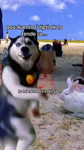 #fyppppppppppppppppppppppp #xyzcba #foryoupage #mauritius🇲🇺 #fyp 