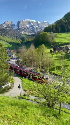 Switzerland 🇨🇭  . www.FarmTourSwitzerland.com . . #switzerland🇨🇭 #hiddengems #privatetours #nature 