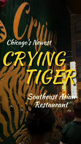 This new spot's been all over my feed the last couple weeks - you know I gotta go check it out to see what the hype's about! 📍 Crying Tiger 51 W Hubbard St ✨ Thai Ice Tea: imagine going wrong with a classic drink... 5/5 ✨ Fresh Sugarcane Juice: was excited for the sugarcane but not sure how to feel about the banana 3/5 ✨ Crispy HK Porkbelly: GOT ME IN A CHOKEHOLD!! the crispiness... the sauce... absolutely a favorite! 10/10 ✨ Rolled Rice Noodles: slightly crispy on the outside with a little wok toss char but perfectly chewy on the inside 4/5 ✨ Wagyu Short Rib Khao Soi: that creamy coconut curry with the crispy noodles hits the soul but only got 3 pieces of short ribs (our server recommended a side of their grilled roti for the curry sauce) 4/5 ✨ Toasted Coconut Sundae: the salted peanuts and that sweet pandan caramel sauce (very sweet btw)??? honestly the sundae was the perf cherry on top to end our meal! 5/5 #fyp #cryingtiger #chicagoeats 