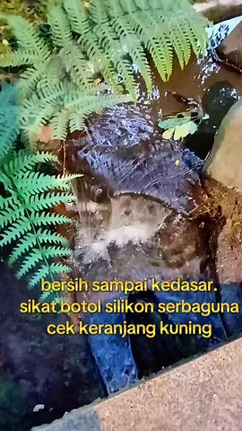 bersih sampai kedasar. sikat botol silikon serbaguna, lembut, dan tidak merusak, mudah dibersihkan cocok untuk botol susu dan gelas anak. cek keranjang kuning guys, 18 rb aja. klaim semua vouchernya. #sikatbotol #sikatbotolsilikon #lembut #mudahdibersihkan #cekkeranjangkuningya🙏🙏🙏 