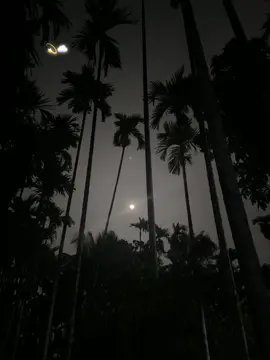 💫☁️#for #fyp #foryou #foryoupage 