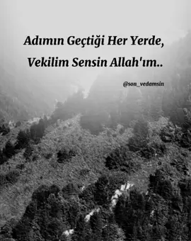 Vekilim Sensin Allah'ım..