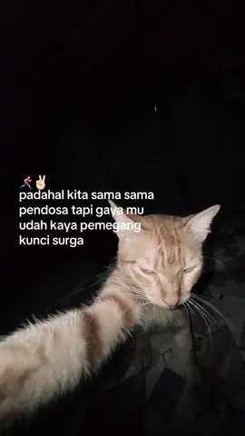 😜👋🏻#fyp #masukberanda #foryoupage #katakata#xyzabc 