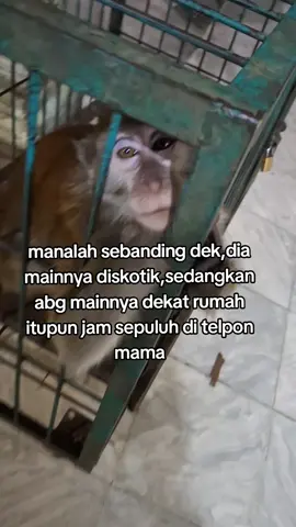 #fyp #meme #foryoupage  #jokes 