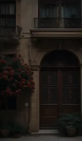 #quran #القران_الكريم #القرآن #تلاوات #fyp 