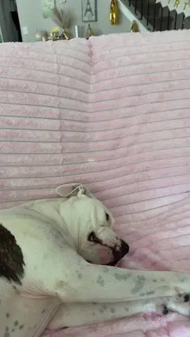 #sherpablanket #bedblanket #cozylittlechristmas #funbeyondshopping #pinkblanket 