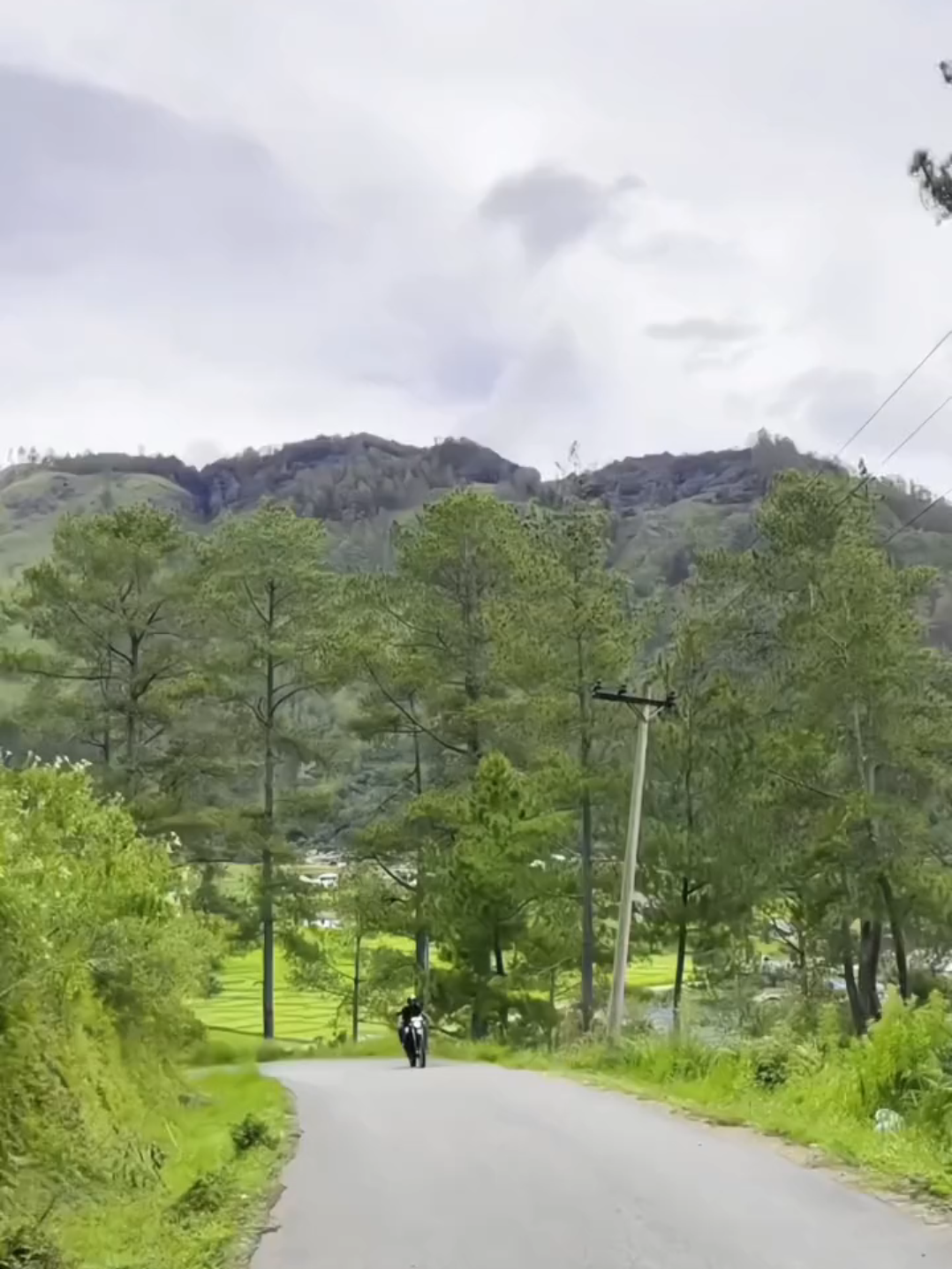 🙂#merindumulagi #masukberanda #fyp #viraltiktok #1080p60fps #musicviral #risingontiktok #views #takengonacehindonesia