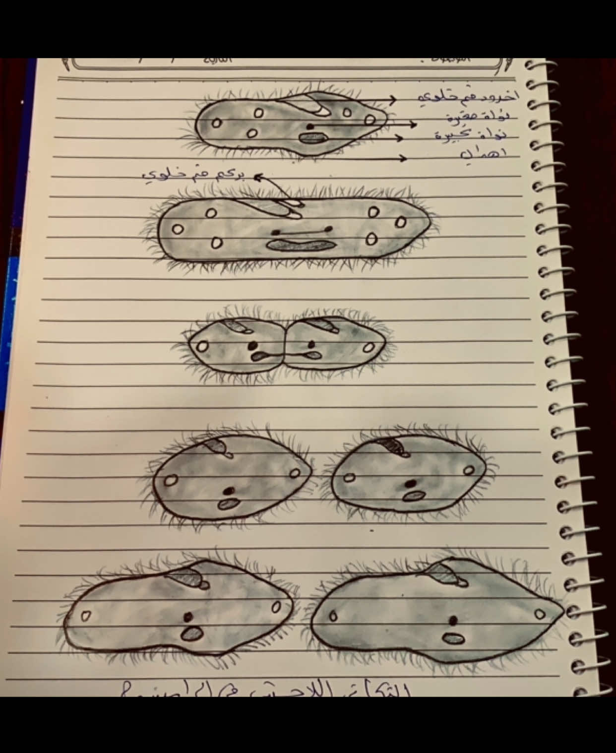 #ثالث_متوسط #خامس_علمي #سادسيون #الشعب_الصيني_ماله_حل😂😂 #سادسيون  