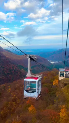 明智平に行ってきました🍁⁡#japan #紅葉#明智平