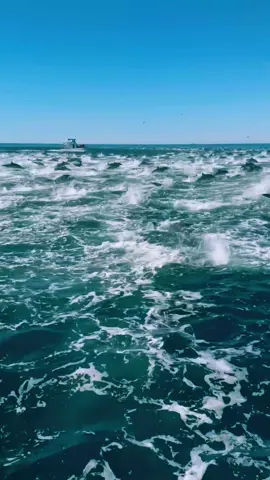 #keşfet @🏇✯𝐀𝐠𝐚𝐲𝐞𝐯✯🦅 