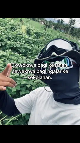 Misale ini #petanimuda #petani #petaniindonesia🇮🇩🇮🇩🇮🇩🌿🌿 #petanimilenial #petanisukses 