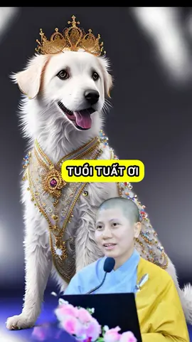 Tuổi Tuất ơi, Nếu hôm nay con dừng lại và đọc được những lời này, thì đó không phải là ngẫu nhiên đâu… #phatphapnhiemmau #phongthuytamlinh #12congiap #tuoituat #sucogiaclehieu