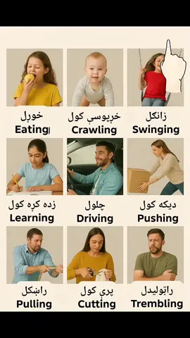 Different Actions with pictures | Vocabulary learn English words with pictures #vocabulary #لغات #انگلیسی_روزانه #انګليسى #englishwithnoorani 